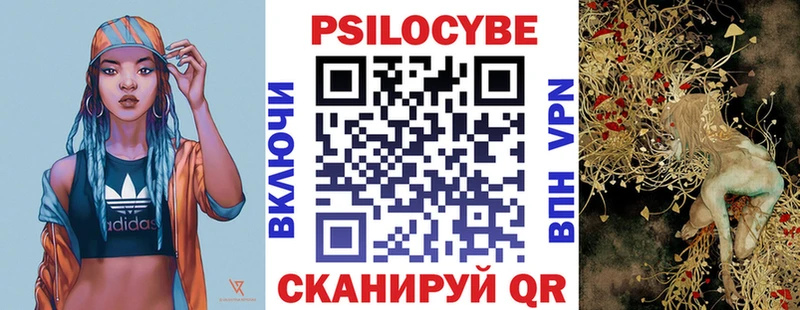 Галлюциногенные грибы Cubensis  как найти закладки  Пугачёв 