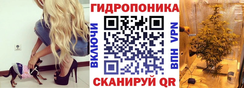 mega Пугачёв Шишки марихуана White Widow